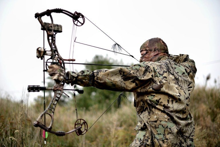 10 Best Compound Bows Reviewed